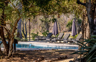 Cool shady hideaways