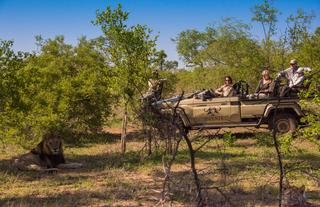 The Sabi Sand Game Reserve holds one of the highest concentrations of free roaming wildlife per hectare 