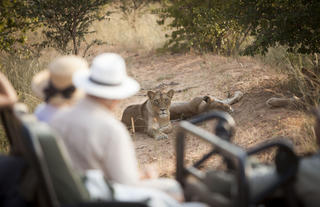 Game Drive