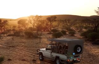 Game Drive