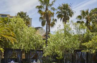 One&Only Cape Town Poolside