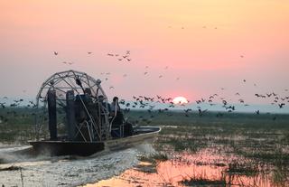 Airboat Safari