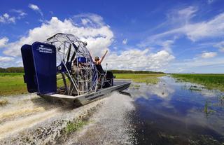 Airboat Safari 