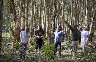 Guided wilderness walk 