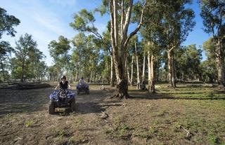 Quad bike adventures