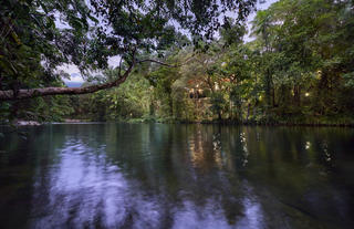 Mossman River views