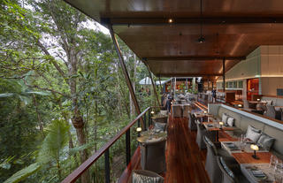 Treehouse Restaurant