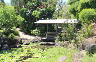 Resort Pond