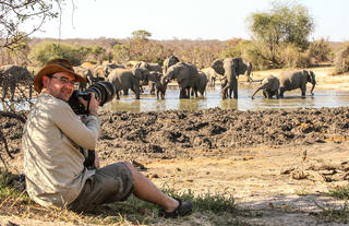 Great elephant photography