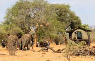 Dining with the elephants at Jozi