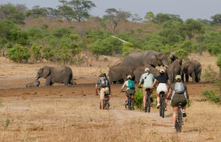 Game viewing on mountain bikes at Jozi