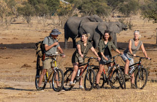 Game viewing on mountain bikes at Jozi