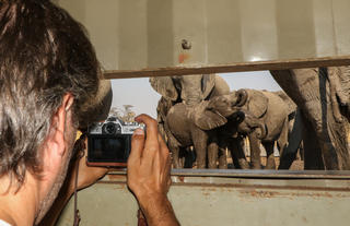 Up close photography opportunities from the hide