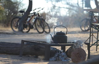 Dining al fresco style