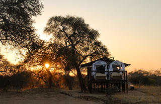 Jozibanini star beds