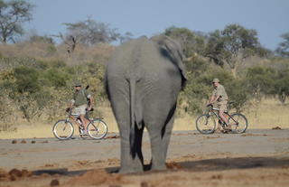 Game viewing on mountain bikes