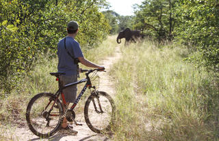 Game viewing on mountain bikes