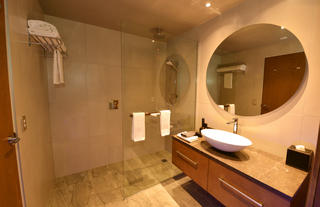 Distinction Dunedin Bathroom with 2 Showerheads