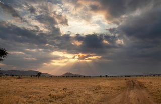 NYIKANI CAMP - CENTRAL SERENGETI - Surrounding