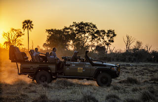 Sunset Game Drive