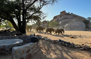 Madisa - home of the desert-adapted elephants