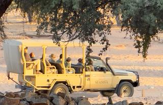 Elephant Tracking