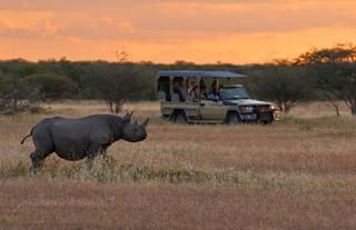 Game Drive