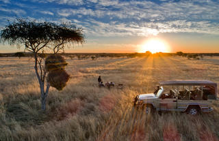 Safari Sundowners