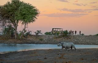 Safari Sundowners