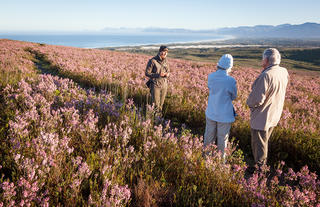  Guided Walks and Hikes through the Reserve 