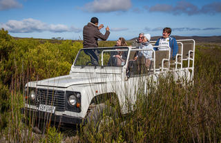  Botanical 4x4 Tour 