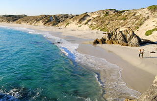 Coastal Safari Walker Bay