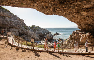 Coastal Safari Cave Tour 