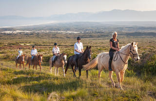 Horse Riding Experience through the Reserve