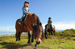 Pony Rides for Children
