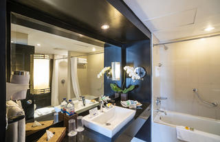 Executive Suite bathroom