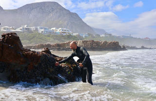 Mussel Picking - Experience 