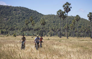 Biking Excursion