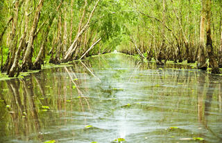 Vietnam - Bird Sanctuary