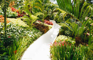 Waterslides