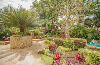Tropical garden