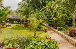 Deluxe Garden Bungalow
