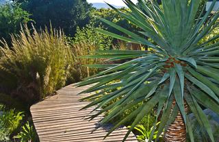 Indigenous gardens