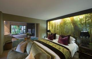 Forest Suite