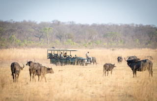 Matetsi Victoria Falls_Game Drive