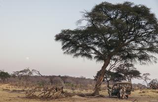 Matetsi Victoria Falls_Game Drive