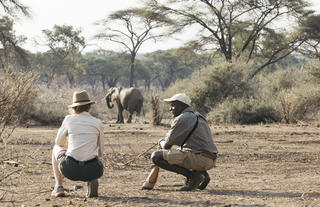 Matetsi Victoria Falls_Walking safari