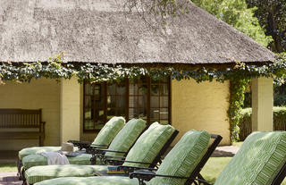 Loungers