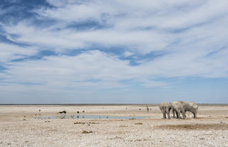 Etosha National Park waterhole