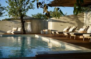 Encounter by Ongava Pool Area